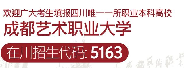 成都艺术职业学院学费(成都艺术职业学院邓一)