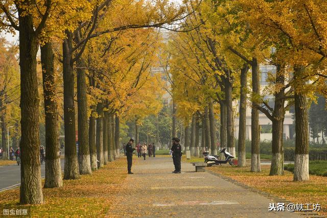 四川省好的学校(四川省好的学校有哪些)