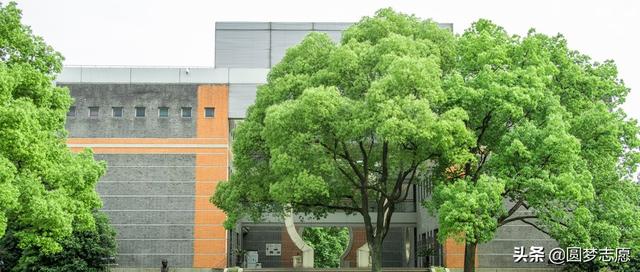 四川城市职业技术学院成都校区(四川城市职业技术学院成都校区吊死人)