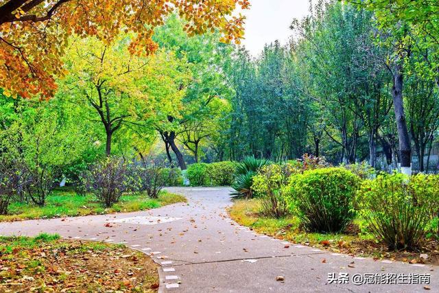 包含成都市有护理专业学校的词条