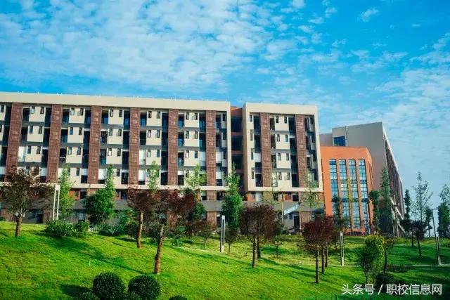 成都中专学校排名(成都中专学校排名好的有哪些学校)