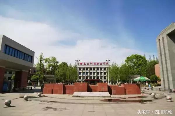 广安职业学校排名(四川广安学校排名)
