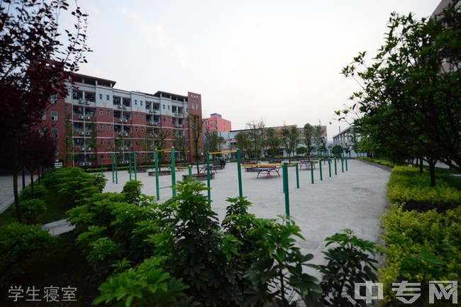 泸州中专学校有哪些(泸州中专学校排名)