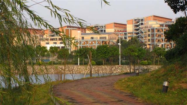 广东高职高考学校排名(广东省高职高考学校排名)