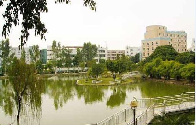 广东高职高考学校排名(广东省高职高考学校排名)
