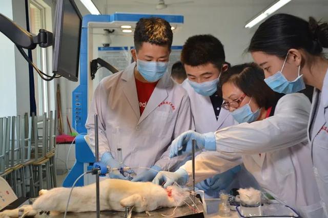 成都铁路卫生学校好不好(成都铁路卫生学校在线咨询)