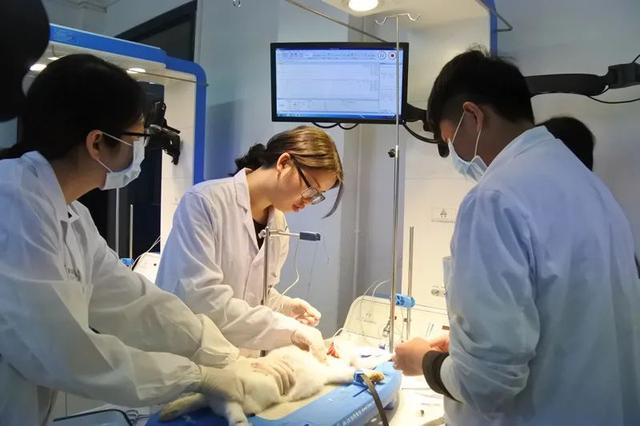成都铁路卫生学校好不好(成都铁路卫生学校在线咨询)