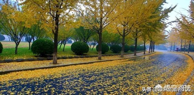 四川师范学校哪个好(四川境内的师范学校有哪些)