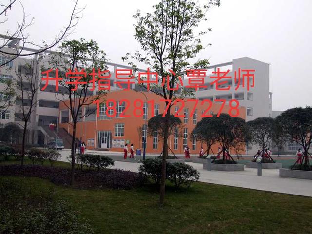 成都礼仪职业中学校(成都礼仪职业中学校长)