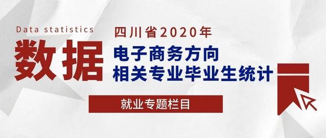 四川学电子商务哪个学校好(学电子商务去哪个学校比较好)