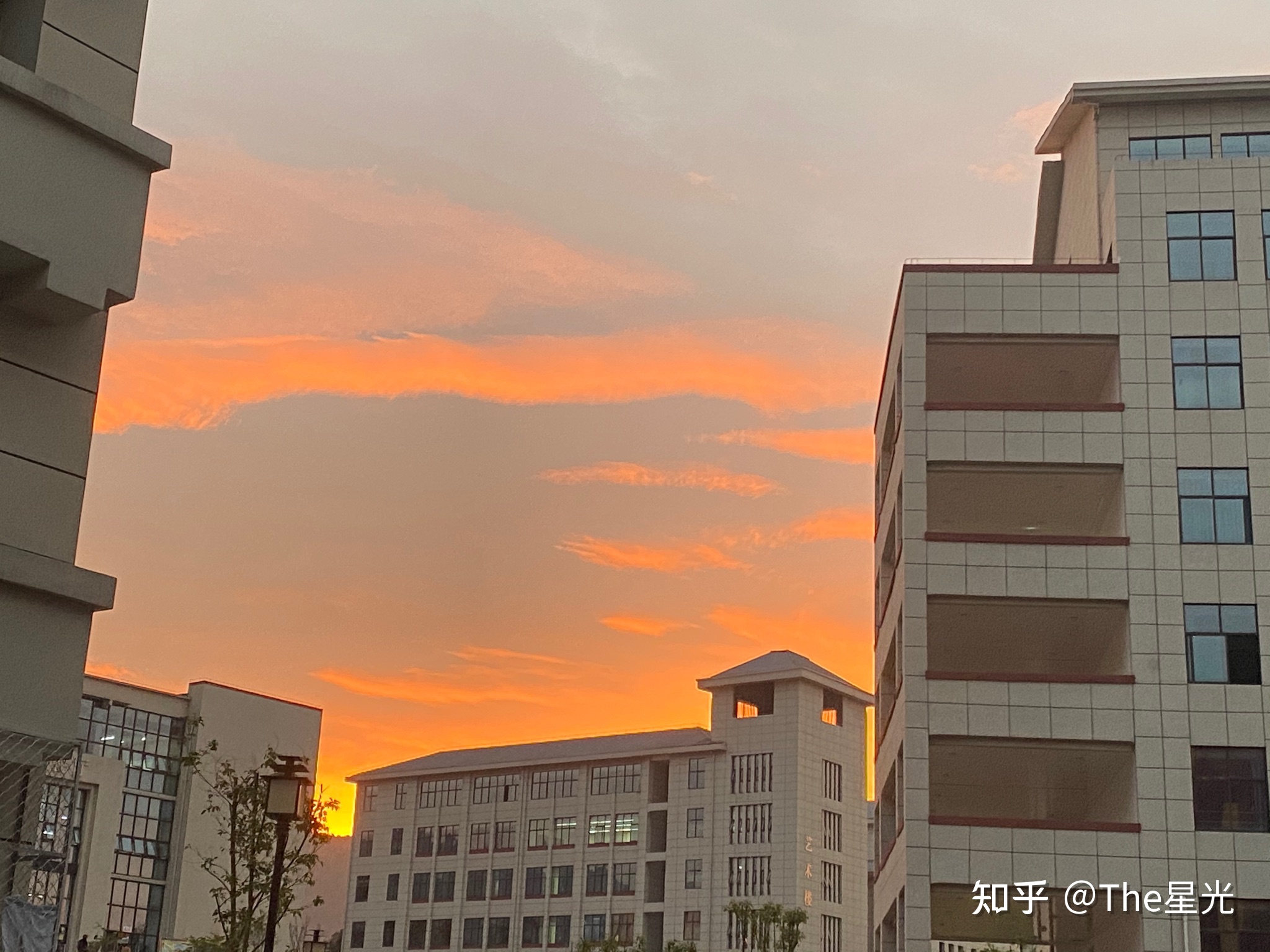 西昌师范中专学校(石家庄师范中专学校)