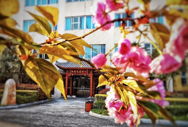 成都市公办普通高中有哪些(赣州公办普通高中有哪些)