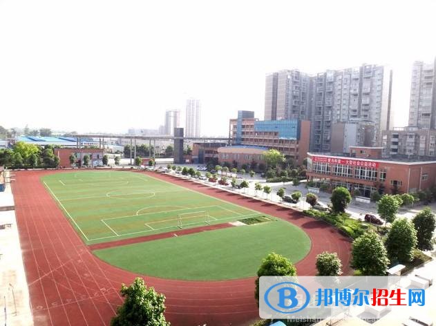 绵阳有哪些职业学校(绵阳有哪些公办职业学校)