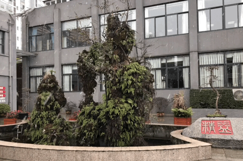 四川财贸职业技术学校(广东财贸职业技术学校)