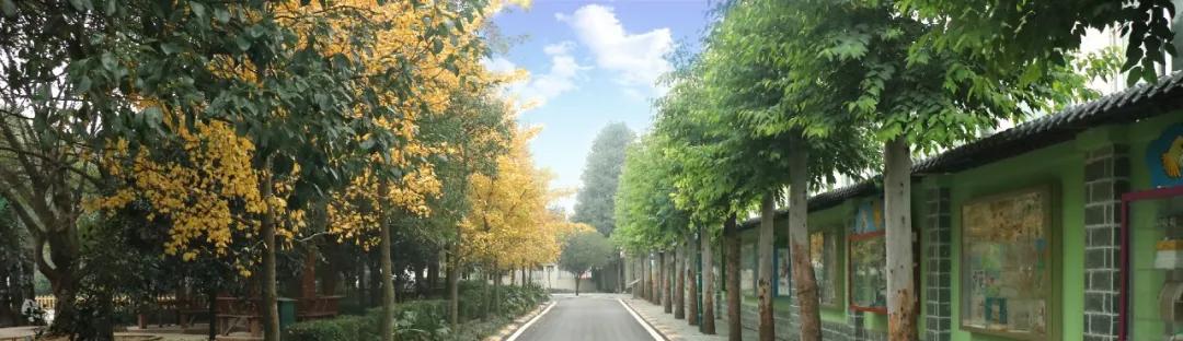 四川省轻工工程学校天府新区(四川省轻工工程学校天府校区怎么样)