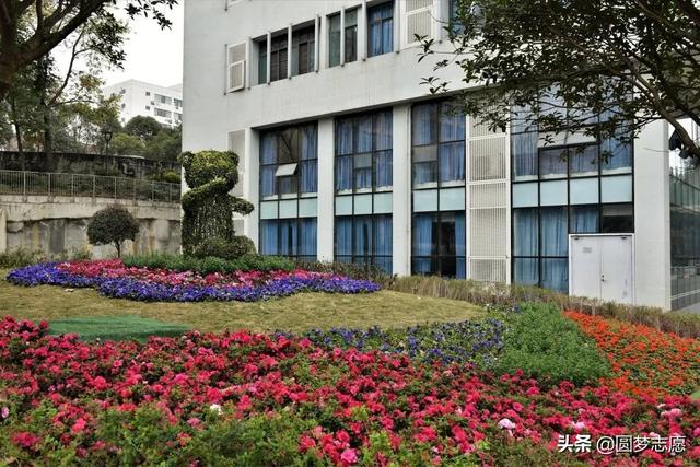 四川师范学校怎么样(四川境内的师范学校有哪些)