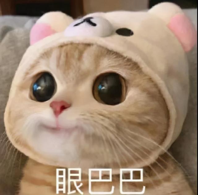 考幼师证需要什么条件(怎么考幼师证需要什么条件)