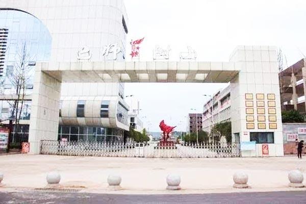 巴中职业技术学校排名(巴中职业技术学校是公立还是私立学校)