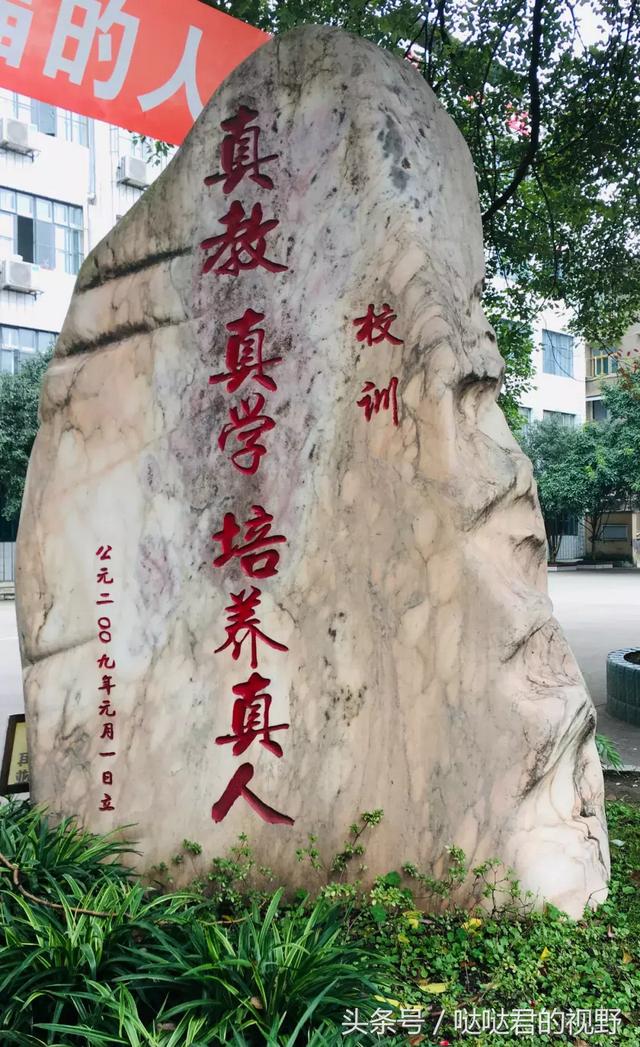 乐山市第一职业中专学校(乐山市竹根职业中专学校校长)