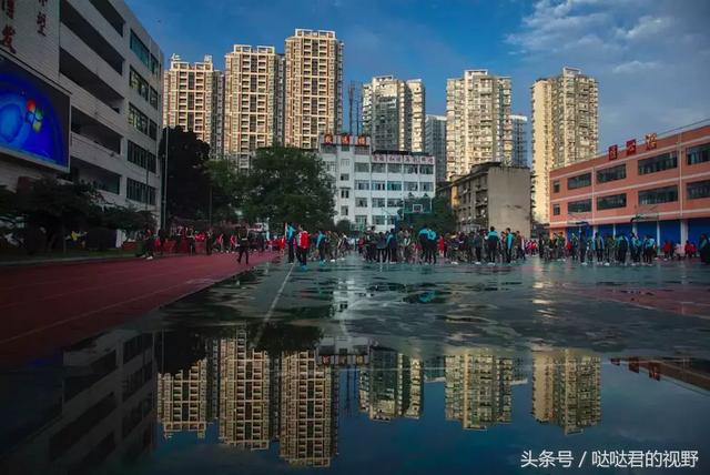 乐山市第一职业中专学校(乐山市竹根职业中专学校校长)