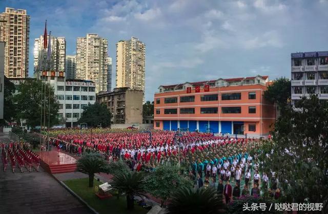 乐山市第一职业中专学校(乐山市竹根职业中专学校校长)
