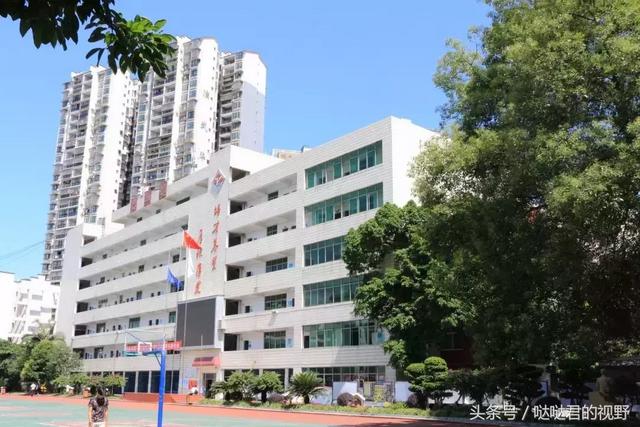 乐山市第一职业中专学校(乐山市竹根职业中专学校校长)