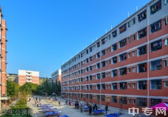 四川信息学校电话(西南信息职业大学分数线)