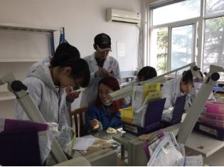 成都职业铁路技师学校(宝鸡铁路技师职业院校好不好)