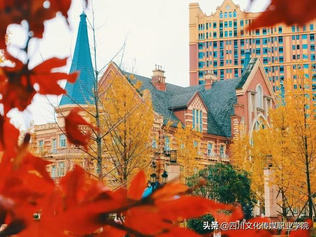 四川交通运输职业技术学校(四川交通运输职业技术学校官网)
