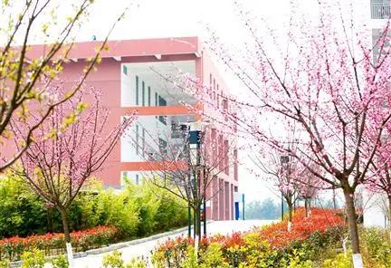 绵阳幼儿师范学校(绵阳高等幼儿师范学校单招)