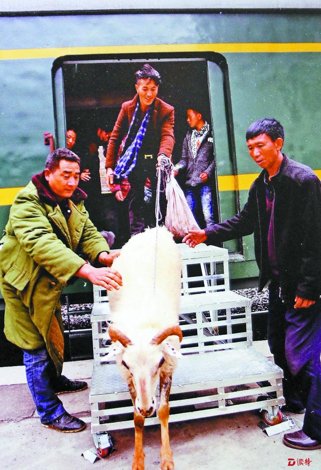 西昌铁路技校要求(西昌铁路技校怎么样)