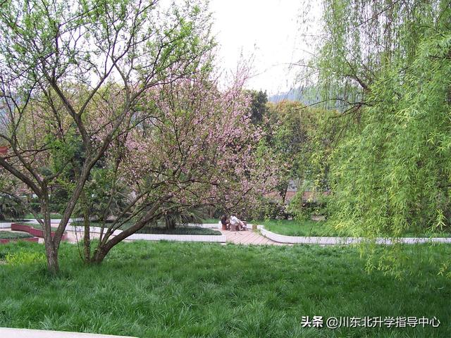 达州百岛湖职业技术学校(达州百岛湖职业技术学校电话)