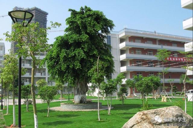 四川学校哪个好(四川学会计哪个学校好)