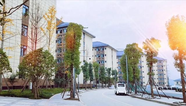 四川达州职业学校有哪些(达州远航职业学校有哪些专业)