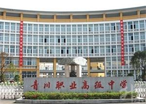 四川高级职业技术学校(四川排名前十的职业技术学校)