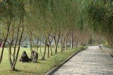 德阳幼师学校(德阳幼师职业学校)