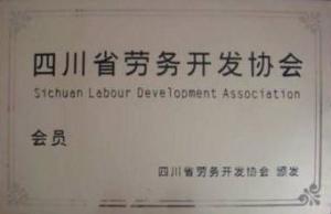 南充电子科技学校(南充电子科技学校校长)