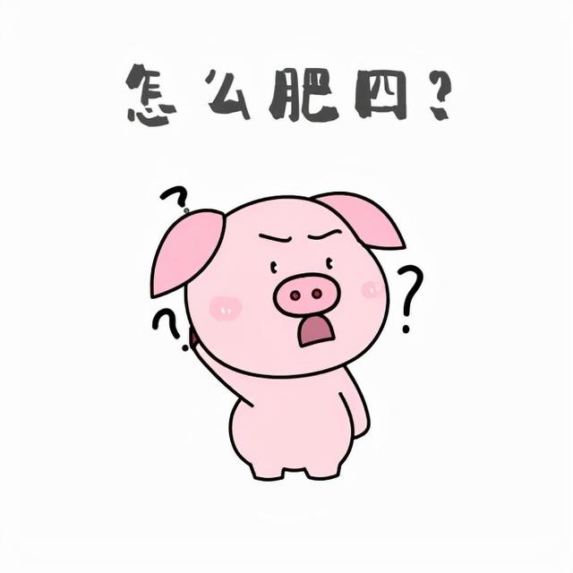 四川广播电视中等专业学校乐山分校(四川广播电视中等专业学校乐山分校怎么样)