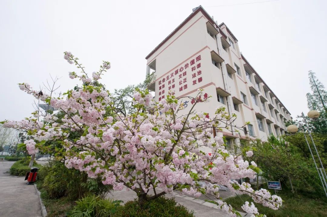 德阳孝泉师范学校(德阳孝泉师范学校宿舍)