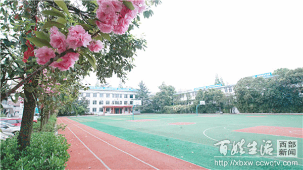 成都市武侯区亚细亚职业学校(成都市武侯区亚细亚职业学校官网)