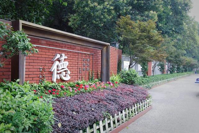 成都公办学校有哪些(成都单招公办学校有哪些)