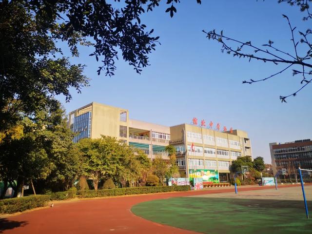 成都公办学校有哪些(成都单招公办学校有哪些)