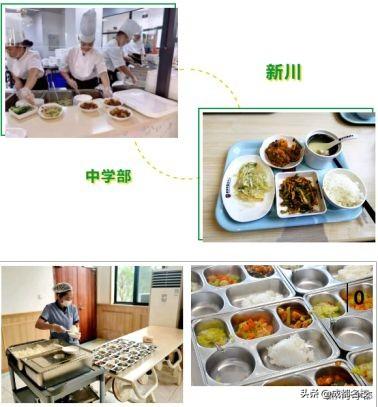 成都科技职业学校学费(成都科技职业学校怎么样)