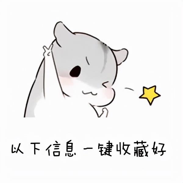 四川公立职业学校(四川国际标榜职业学校)