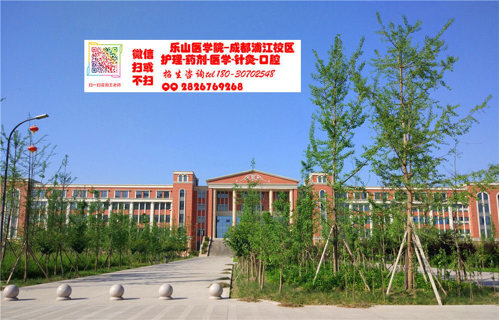 乐山技术学校(乐山技术学校地址)