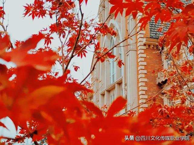四川高铁学校招生要求(柳州高铁学校招生要求)