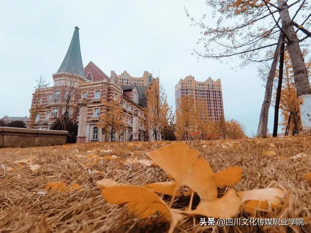 四川高铁学校招生要求(柳州高铁学校招生要求)
