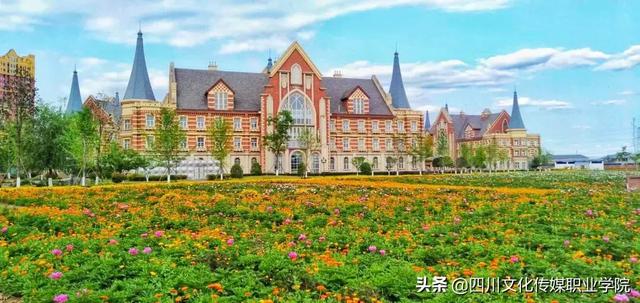 四川高铁学校招生要求(柳州高铁学校招生要求)
