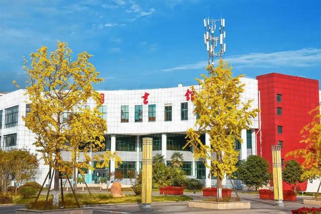 关于绵阳幼师学校的信息