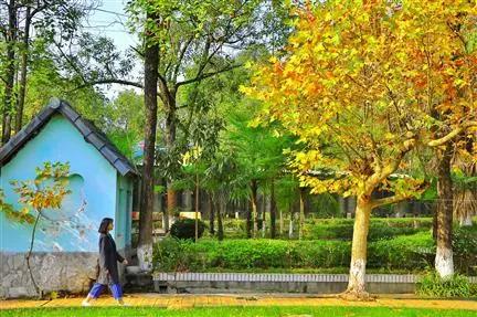 关于绵阳幼师学校的信息
